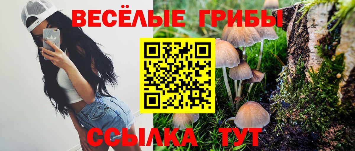 Псилоцибиновые грибы Magic Shrooms  Псилоцибиновые грибы прущие грибы  Вход с VPN  Верхняя Пышма 